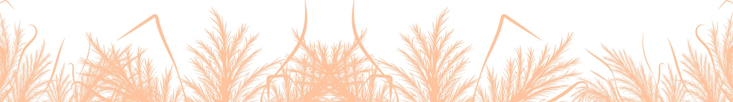 separateur-phrase-desktop-2